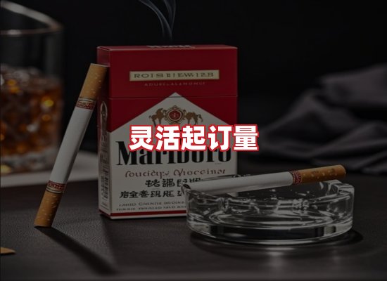 专业团队